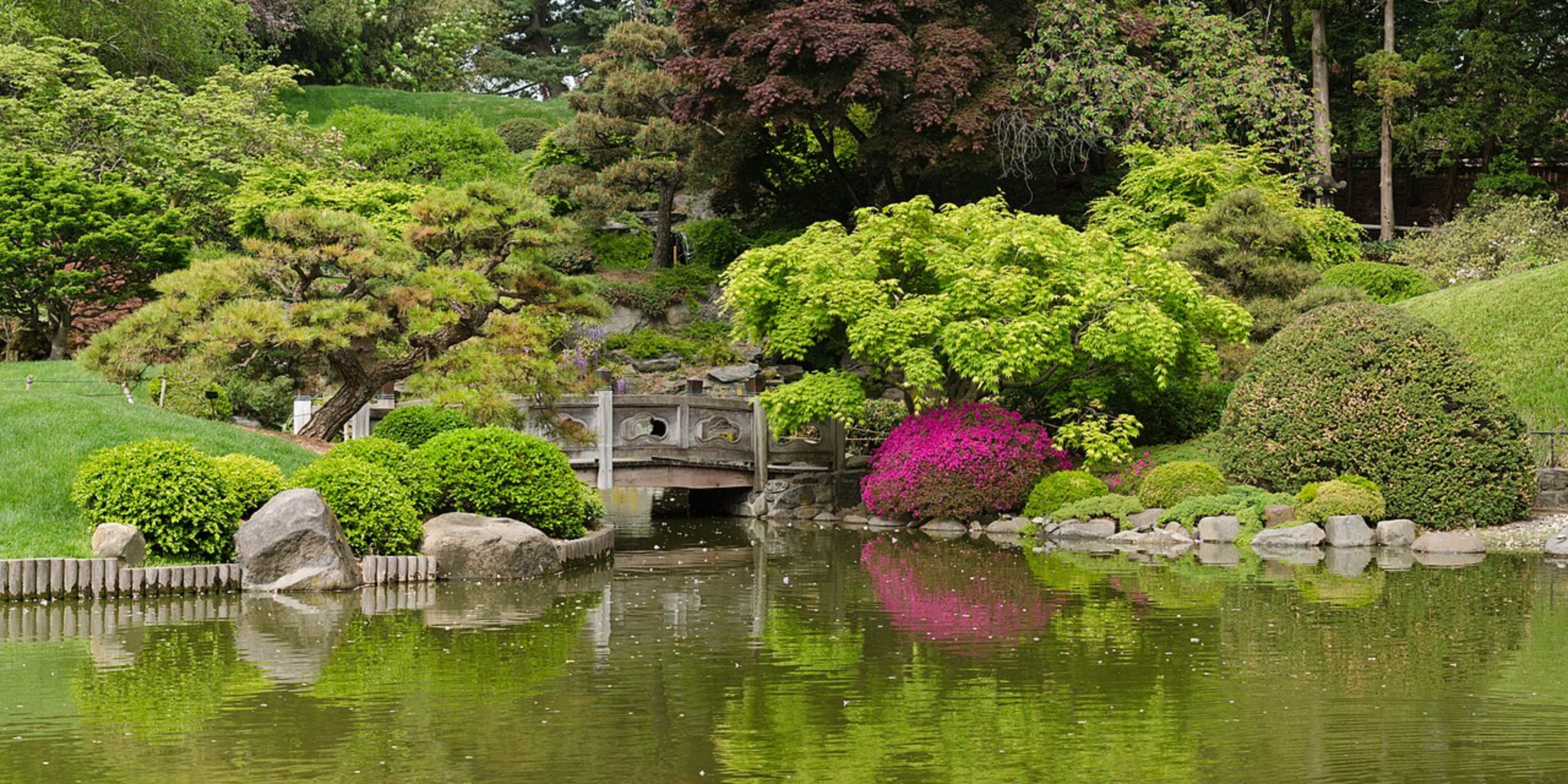 New York Botanical Garden