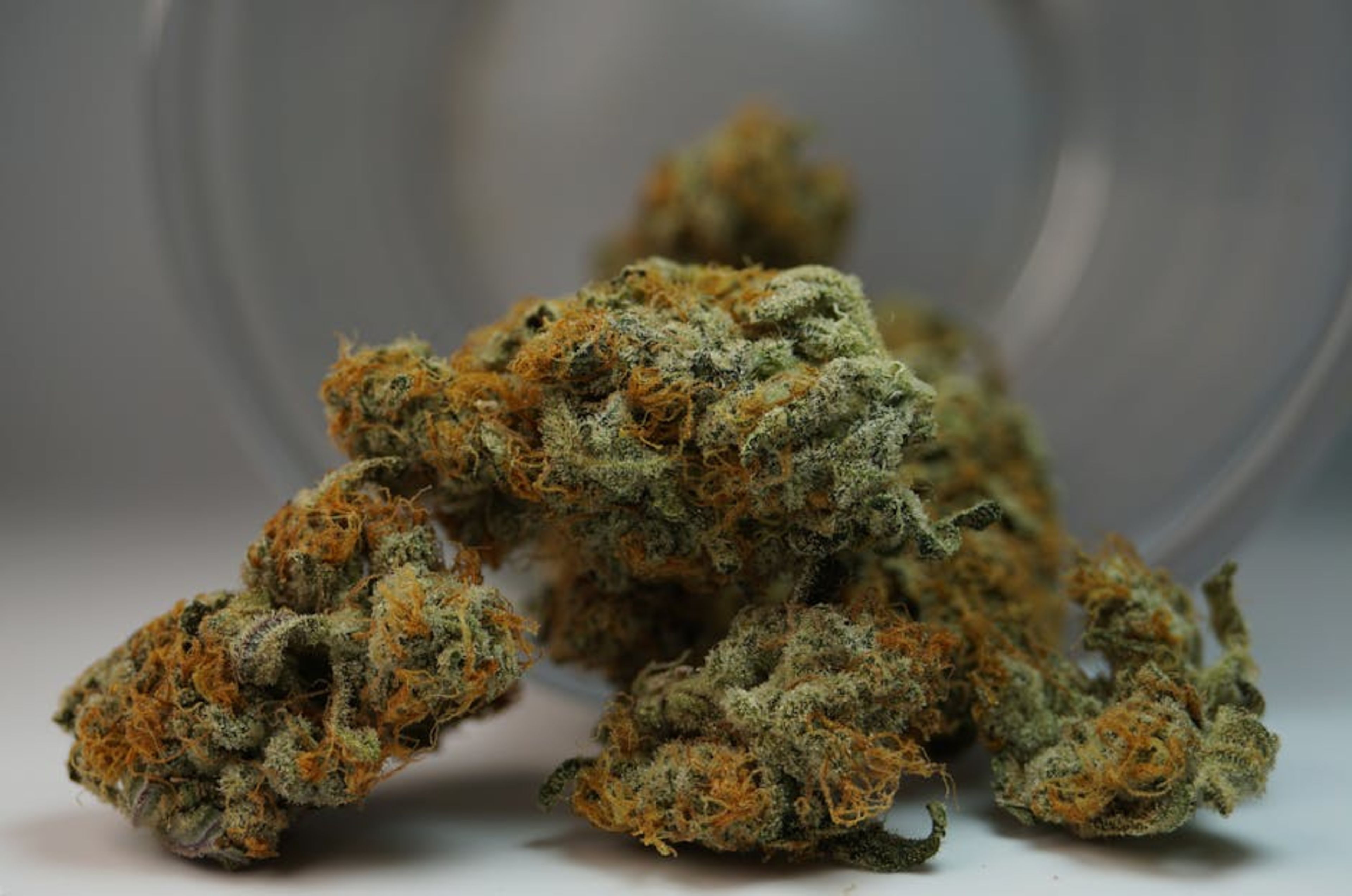 Cannabis Museum
