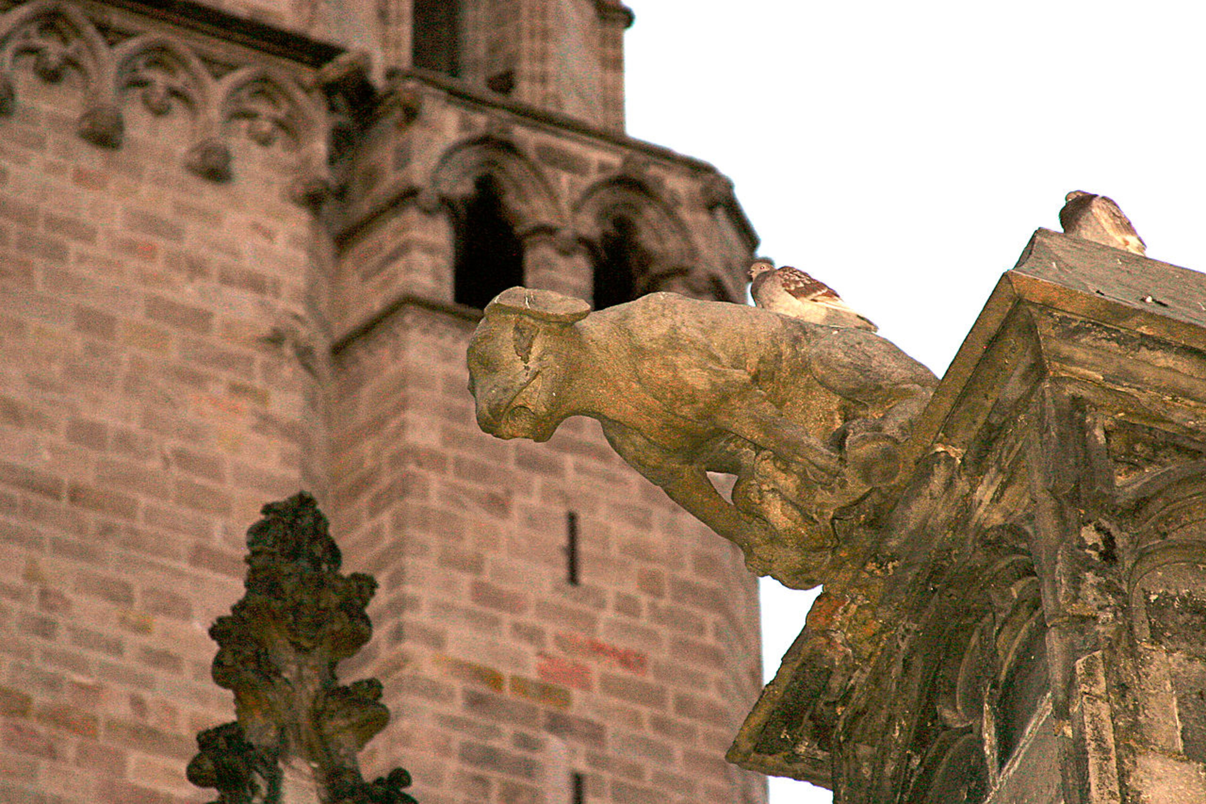 Santa Maria del Mar Basilica