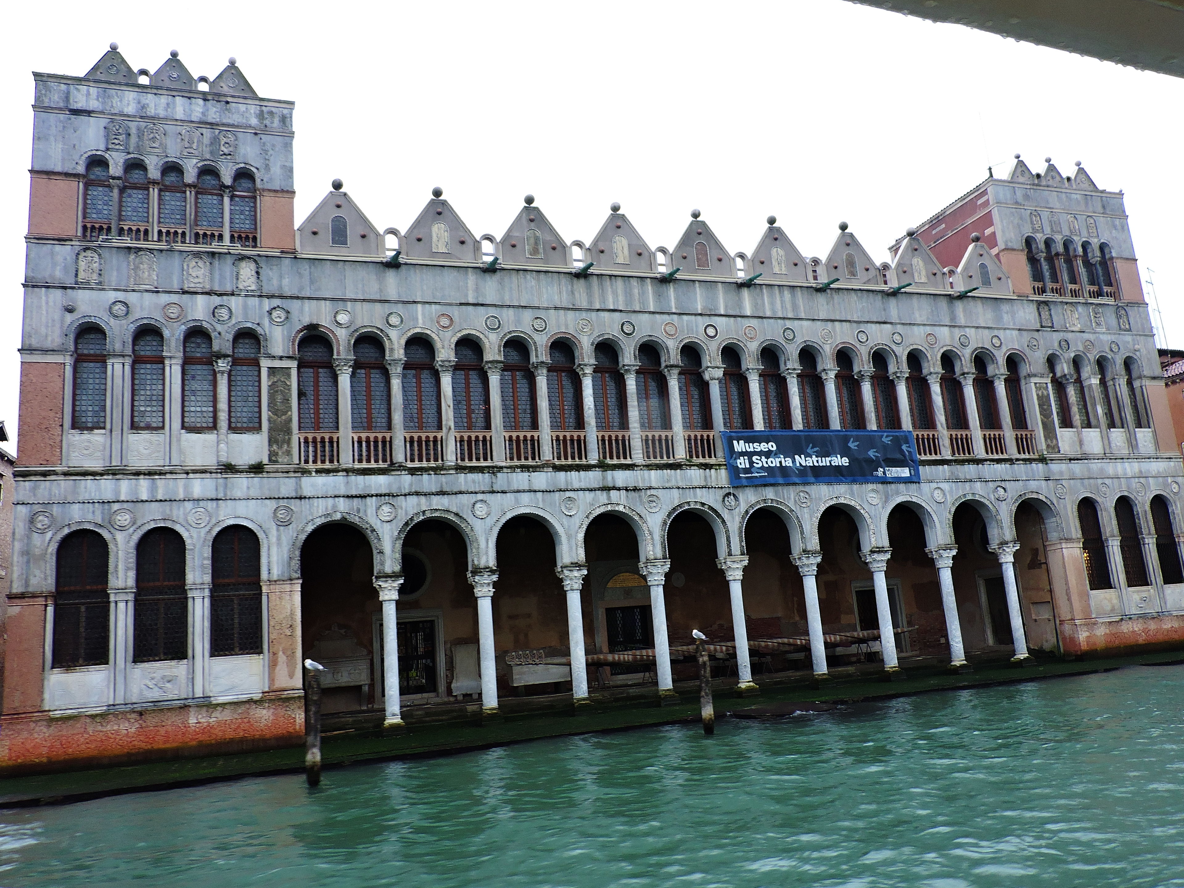 Museo di Storia Naturale di Venezia