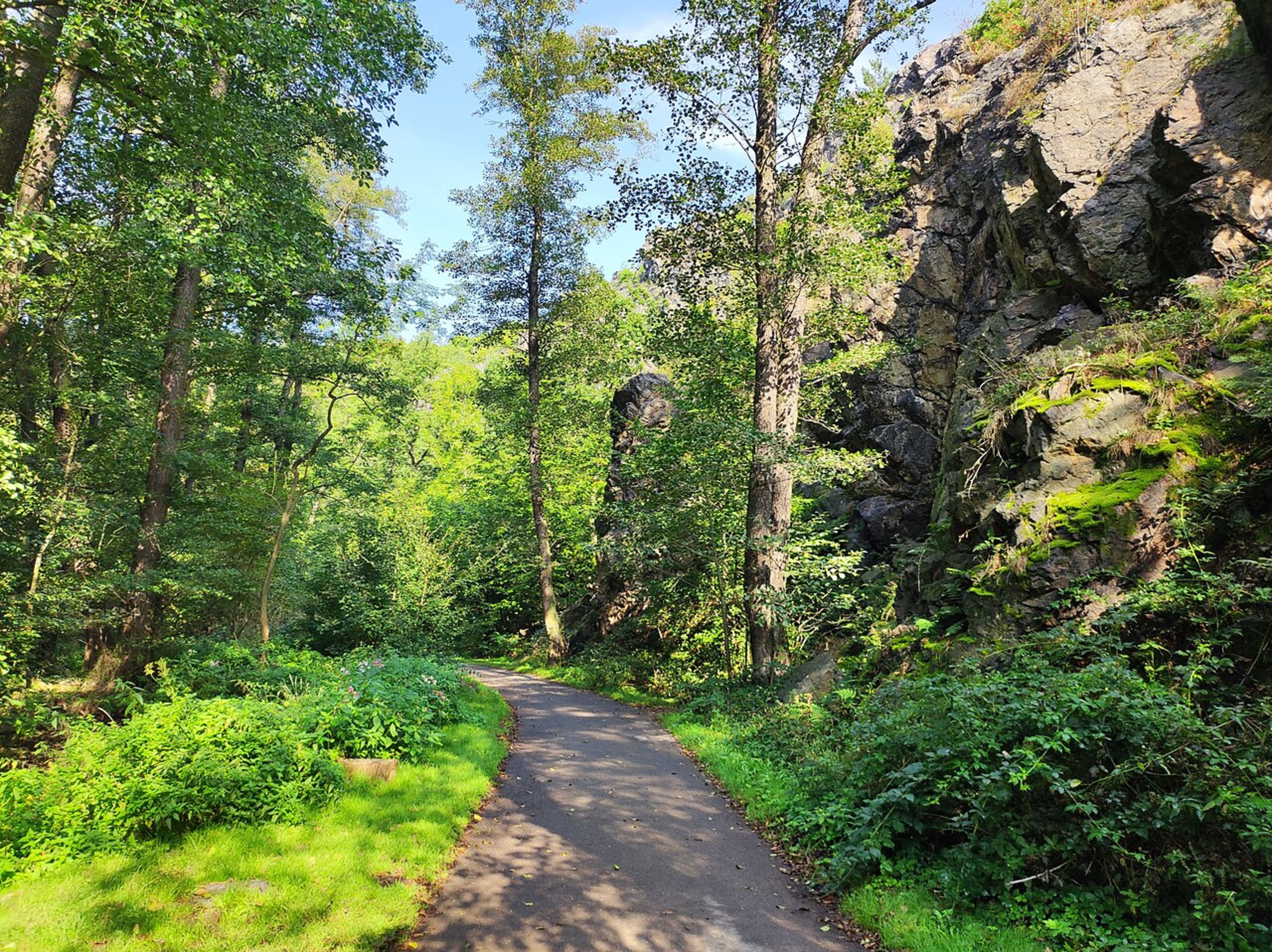 Divoká Šárka Nature Reserve