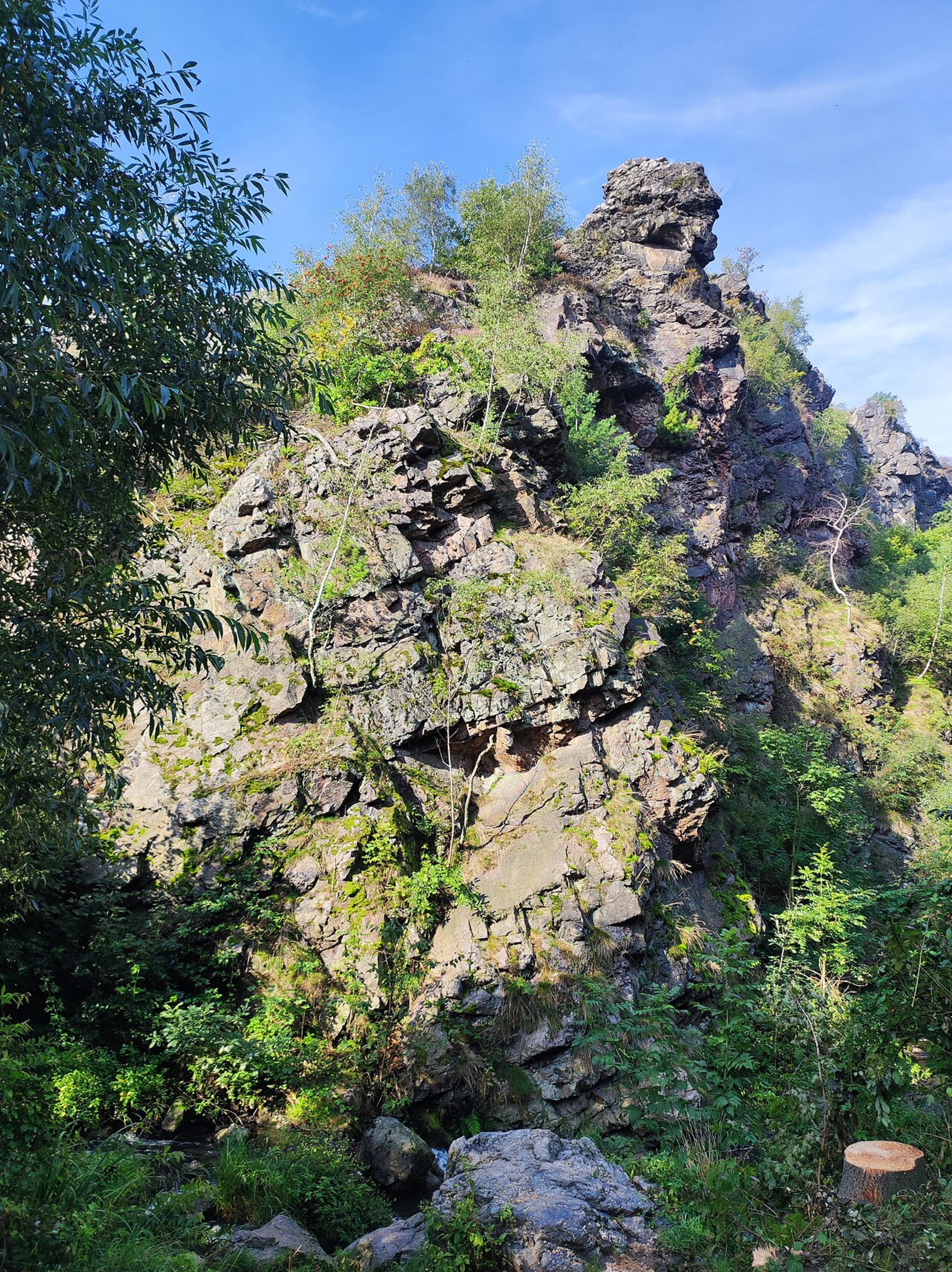 Divoká Šárka Nature Reserve