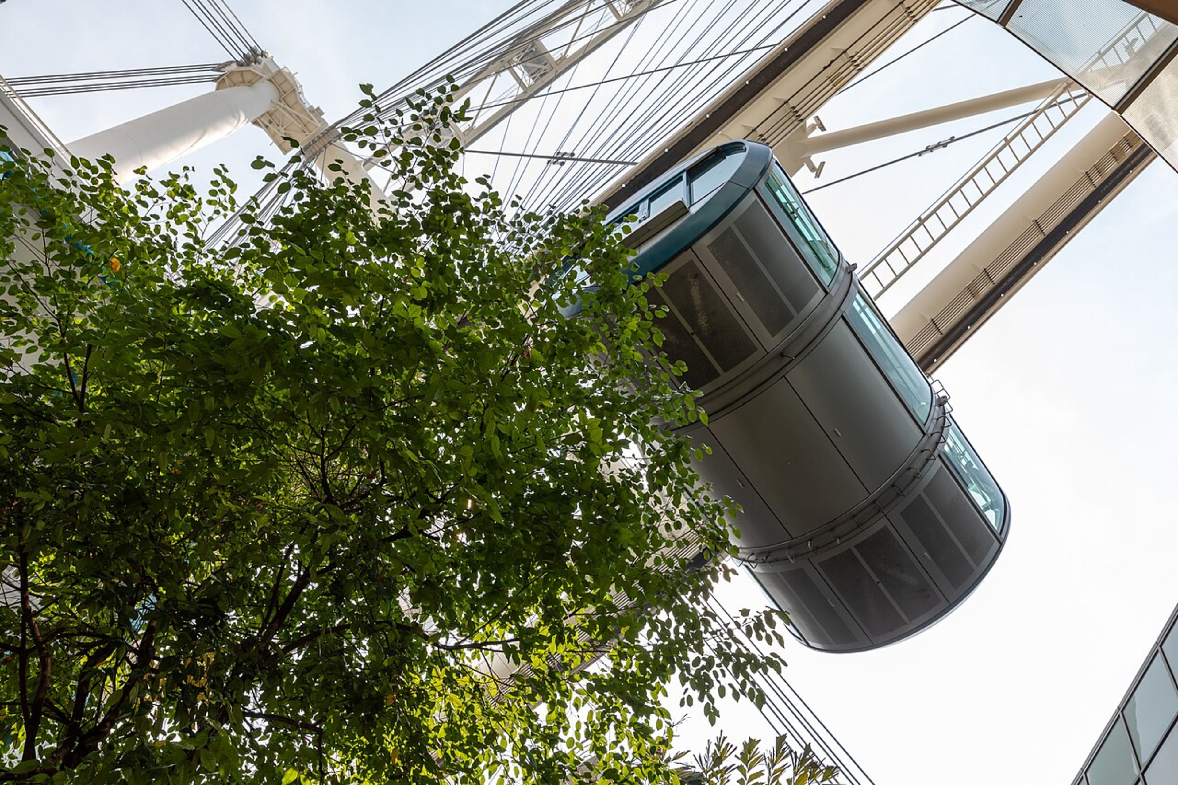 Singapore Flyer (Ferris Wheel)