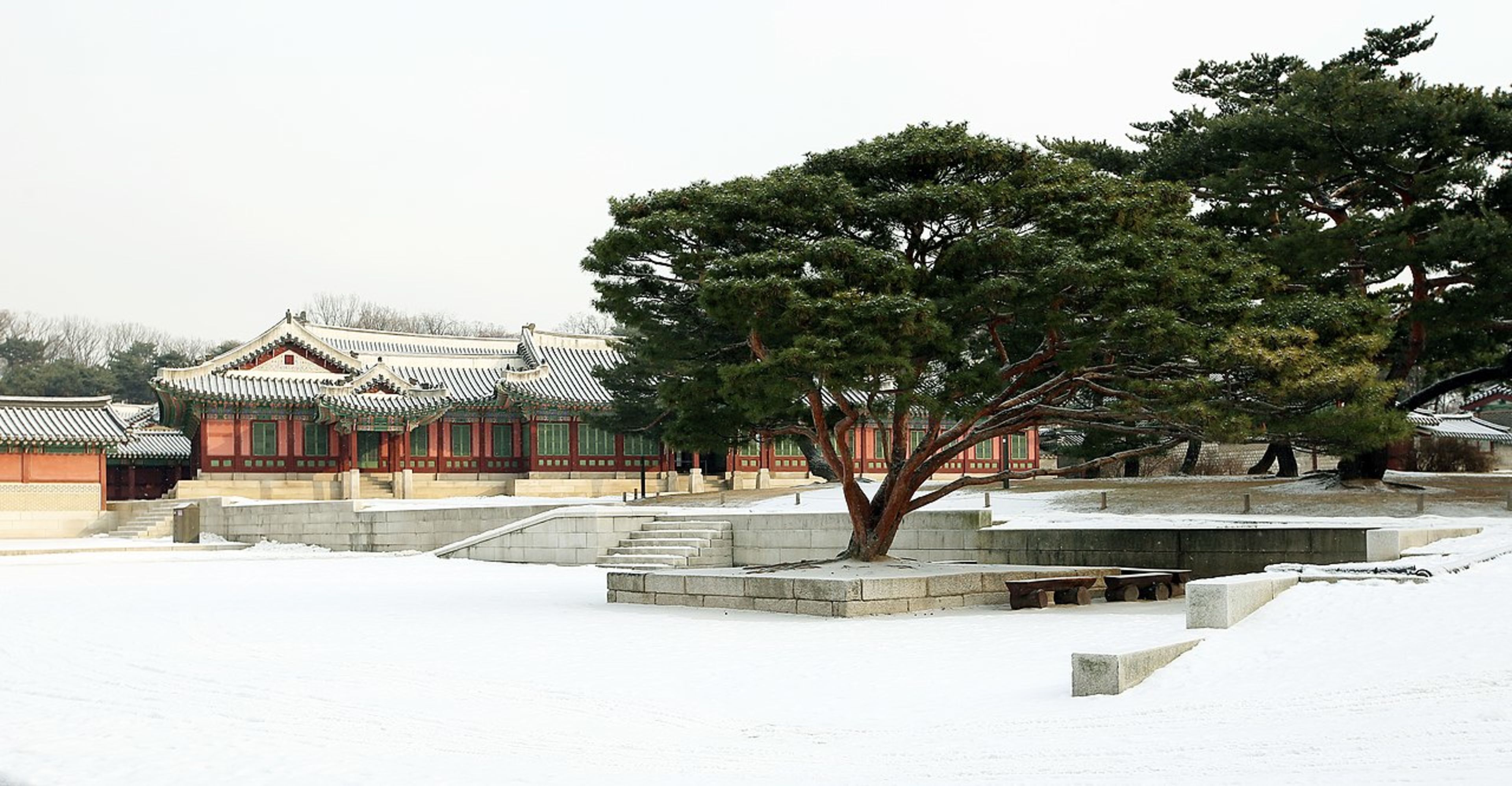Changdeokgung Palace & Secret Garden