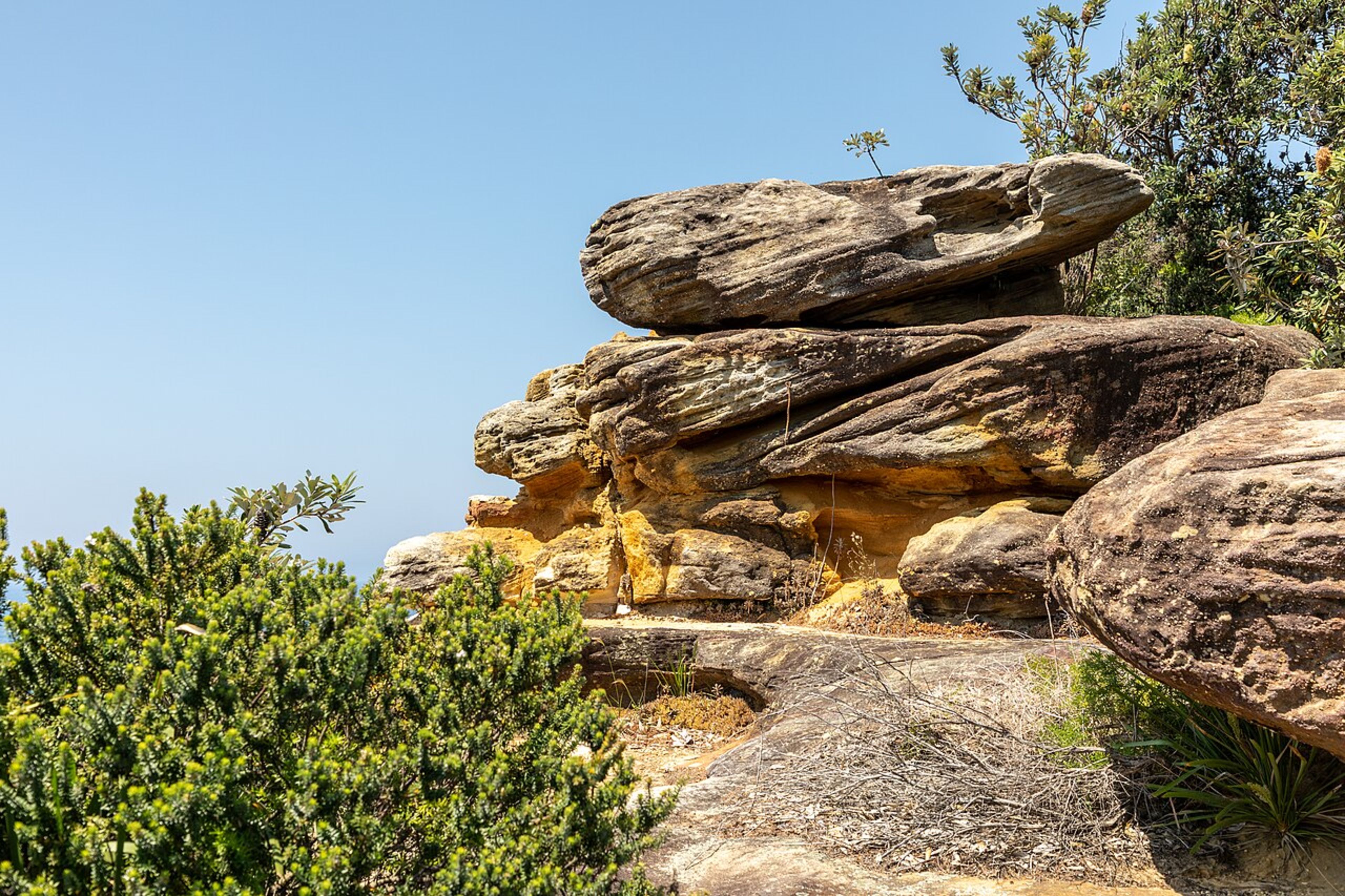 Watson's Bay Cliff Walk