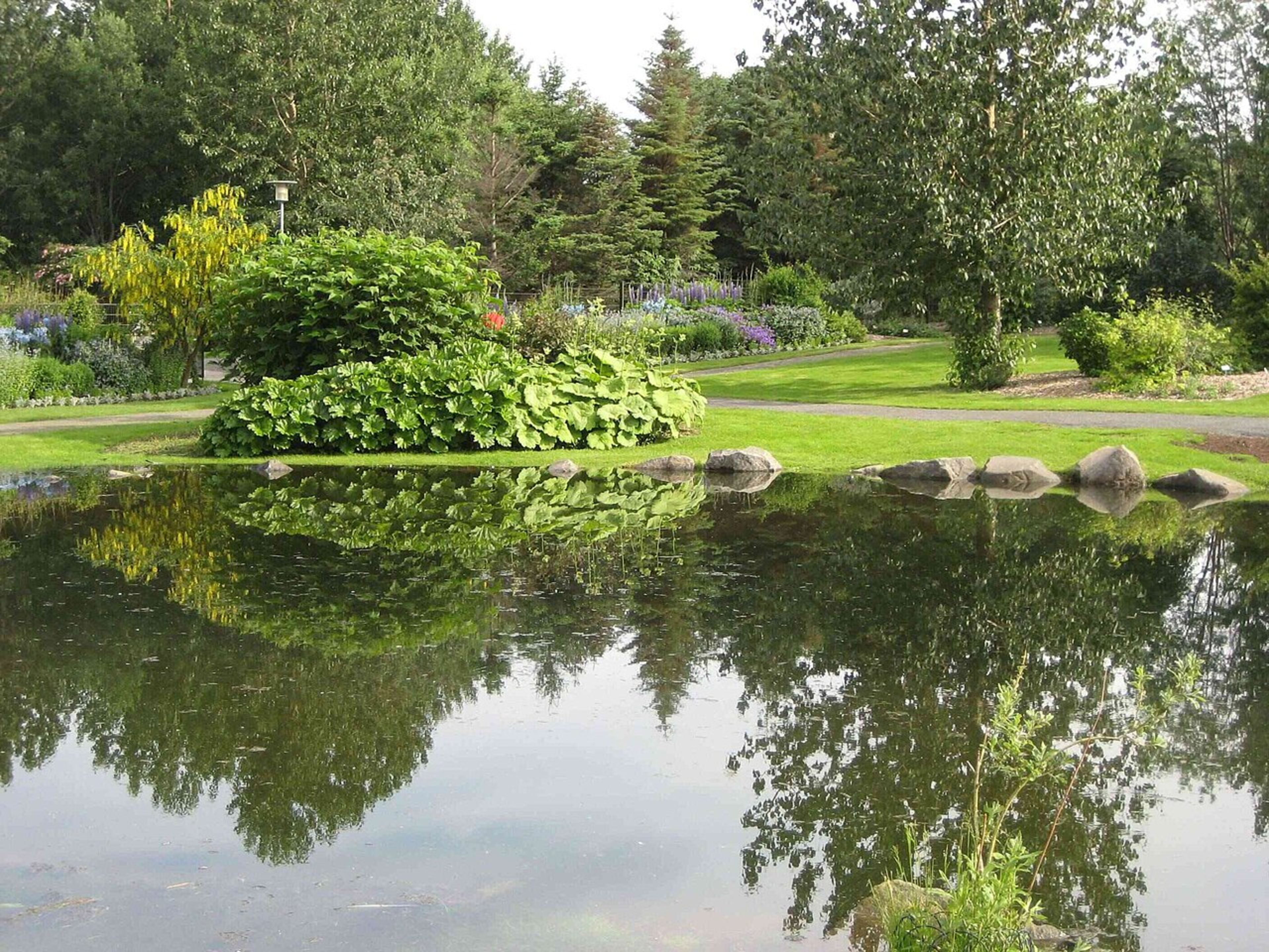 Reykjavik Botanical Garden