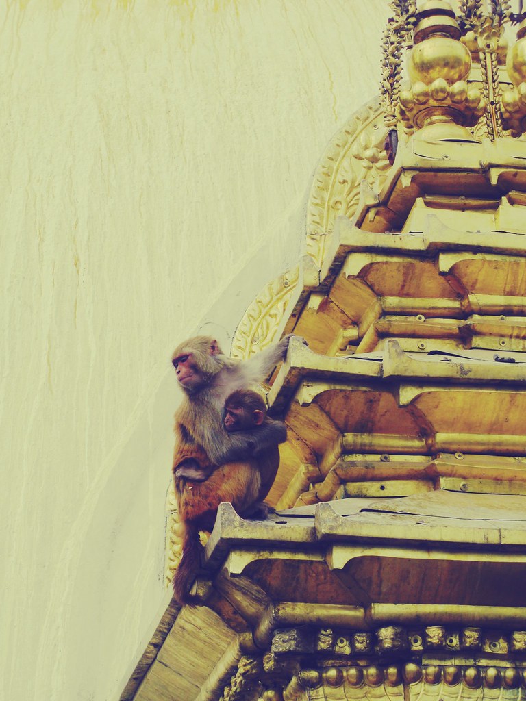 Romantic Kathmandu: 5 Days of Sacred Temples & Timeless Love