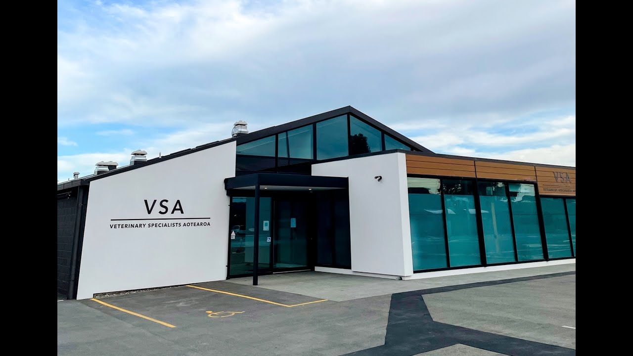 Veterinary Specialists Aotearoa