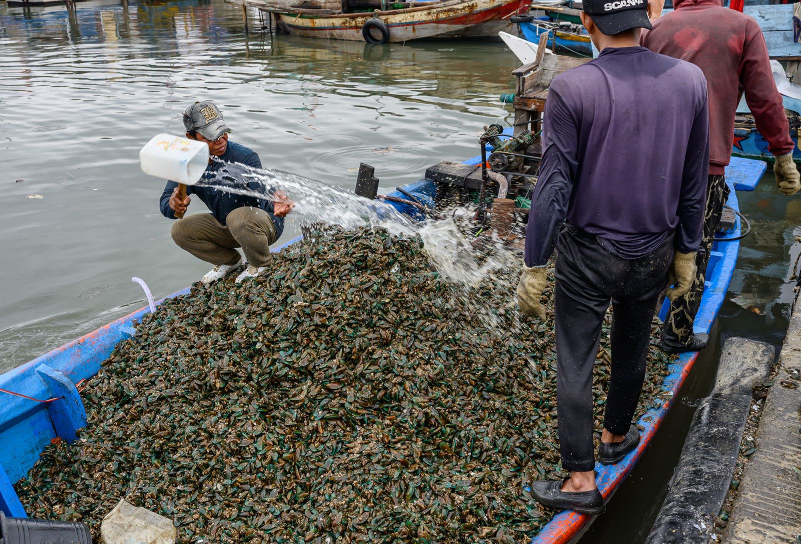 A man pours water from a jerrycan over a heap of mussels in a blue boat while another man stands on its edge.