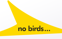 No Birds