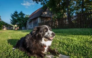Ubytovanie Montana - Apartmán - photo 5