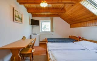 Privat Relax Jasná - Dvojlôžková izba - photo 4