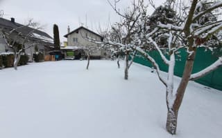 Retrohaus - photo 2