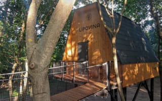 TREE-TOP VILLAGE - photo 4