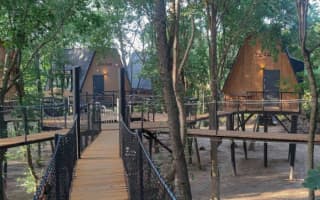 TREE-TOP VILLAGE - photo 5