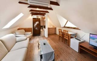 Wellness Vila Astra - Štvorlôžková izba č. 1,5 - photo 4