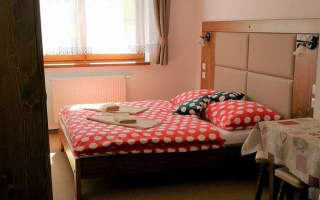 Privát Bachleda Ždiar - Dvojlôžková izba s prístelkou - photo 4