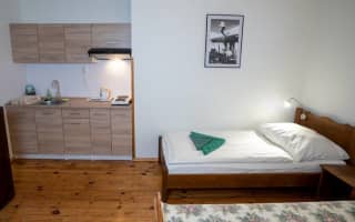 Penzión Plesnivec - Dvojlôžková izba - photo 2