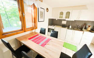 Rybárska chata s bazénom - Apartmán Šťuka - photo 4
