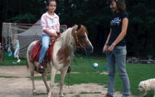 Camp Zlaté kopyto - Chatka trojlôžková – fotografia 2