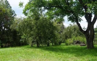 Ubytovanie v súkromí Erika - Trojlôžková izba – fotografia 5