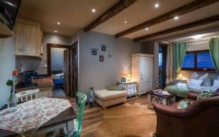 Vila House Family - Apartmán s výhľadom na hory - photo 4