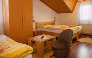 Pension Matvej - Trojlôžková izba - photo 3