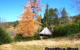 Penzión u Aleny - Dvojlôžková izba - photo 5