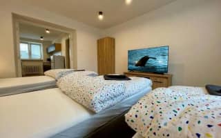 Apartmán Strážske s balkónom - photo 3