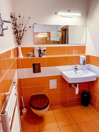 Penzión a apartmány Limba - Penzión - Trojlôžková izba č. 1 – fotografia 4