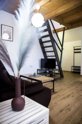 Penzión za mlynom - Apartmán Lucia č. 21 MEZONET - photo 4