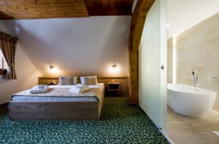Hotel Strachanovka Jánska Koliba - Izba Superior s vaňou – fotografia 2