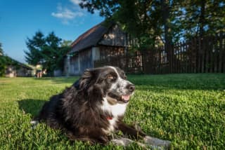 Ubytovanie Montana - Štúdio – fotografia 4