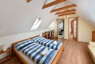 Wellness Vila Astra - Podkrovný apartmán č. 9 – fotografia 5