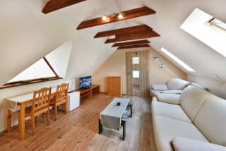 Wellness Vila Astra - Podkrovný dvojizbový apartmán č.10 – fotografia 3