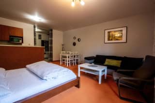 MALINO RESORT & RESIDENCES - SKI AND BIKE APARTMENTS Moderné apartmány v chaletoch Ružomberok - Apartmán s výhľadom na hory - photo 4