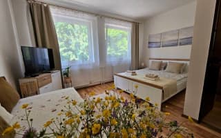 Villa Paradajs - Izba č. 1 - photo 3