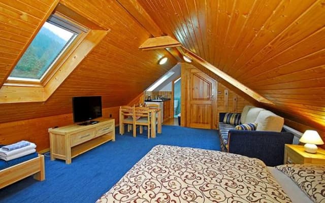 Apartmány a štúdiá Miroslav - Podkrovné štúdio 10 Standard – Demänovská Dolina