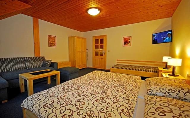 Apartmány a štúdiá Miroslav - Apartmán 13 Standard – Demänovská Dolina