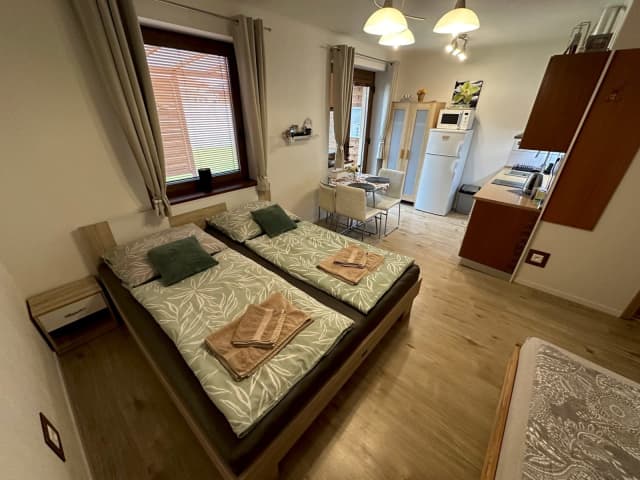 Apartmán LOSONCI - Štúdio pre 2 osoby A2 – Nesvady