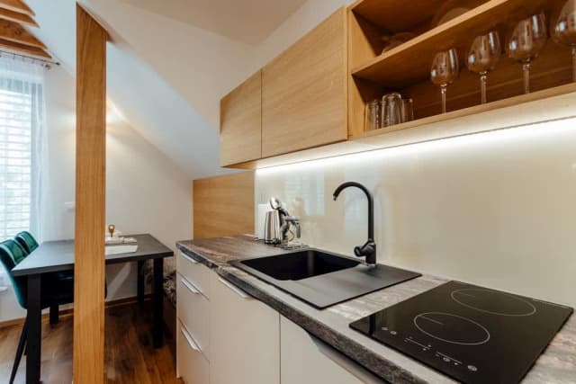 BudinSKI Apartmány & Wellness - Apartmán Chopok – Pavčina Lehota