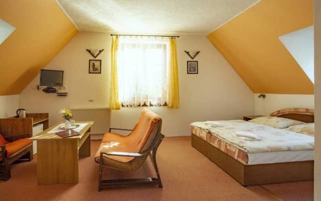 Soler Pension - Dvojlôžková izba – Kremnica