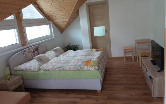 Vila Park VYHNE - Dvojlôžková izba s 2 prístelkami – Vyhne