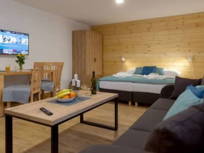 Darmilus apartmány - Štúdio CLASSIC – demänovská dolina