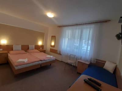 Vila Hana - Trojlôžková izba – nová lesná