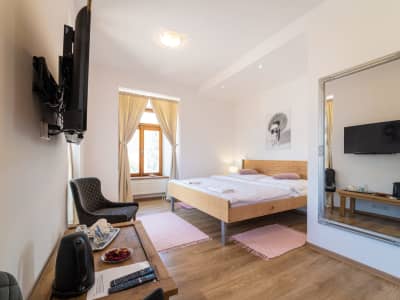 Bed & breakfast Hugo - Dvojložková izba Deluxe s možnosťou prístelky (2) – plešivec