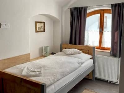Bed & breakfast Hugo - Jednolôžková izba s výhľadom na dvor (8) – plešivec