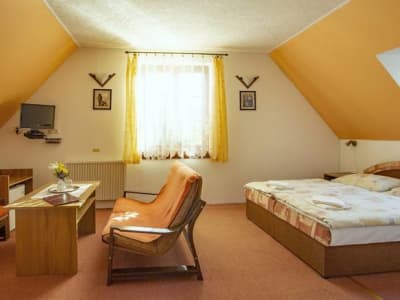 Soler Pension - Dvojlôžková izba – kremnica