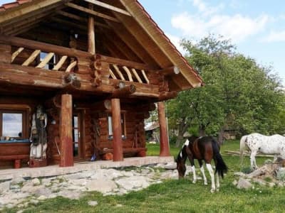 Zrub Dúbrava – zemiansky vrbovok