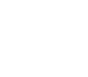 Minerva İşletme Koleji